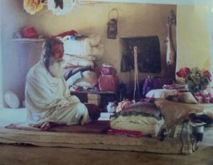 সূর্য আর শিশির